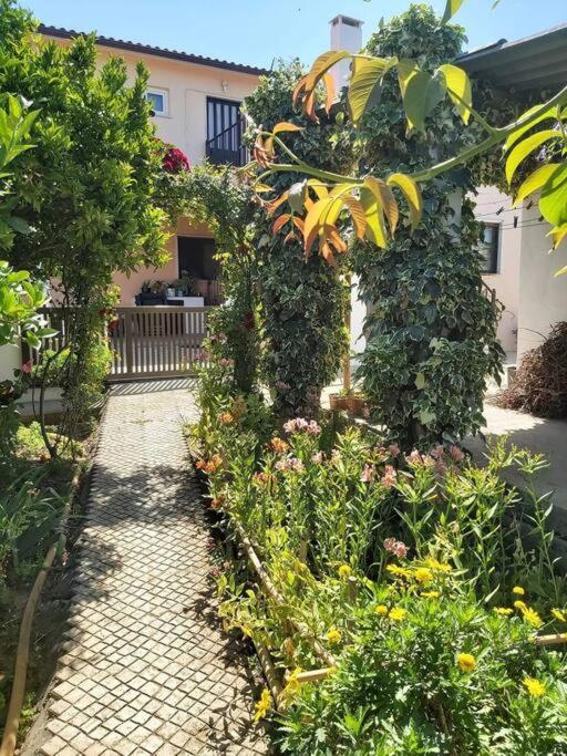 Apartamento Casa Alegria - The Orangery Tomar Exterior foto